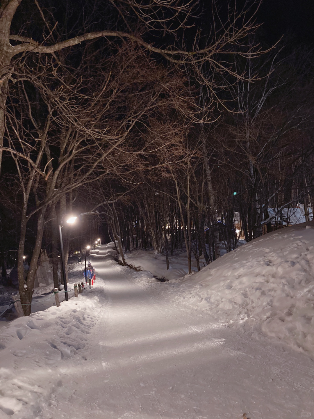 Sapporo/Hokkaido-Hokkaido｜Furano Soh‘sBar Bar Recommended👍