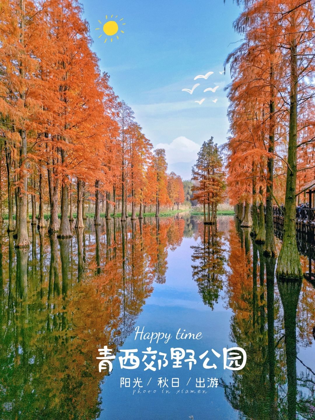 Jiangsu/Zhejiang/Shanghai-Qingxi Country Park, the redwood trees are really amazing for taking p