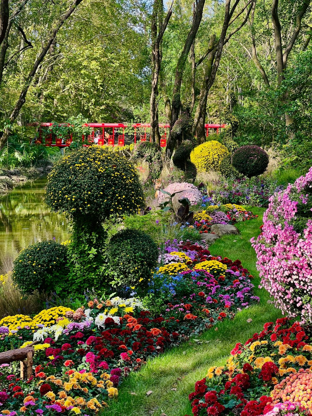 Jiangsu/Zhejiang/Shanghai-Oh my god! Monet's garden was actually decorated with trees blown down