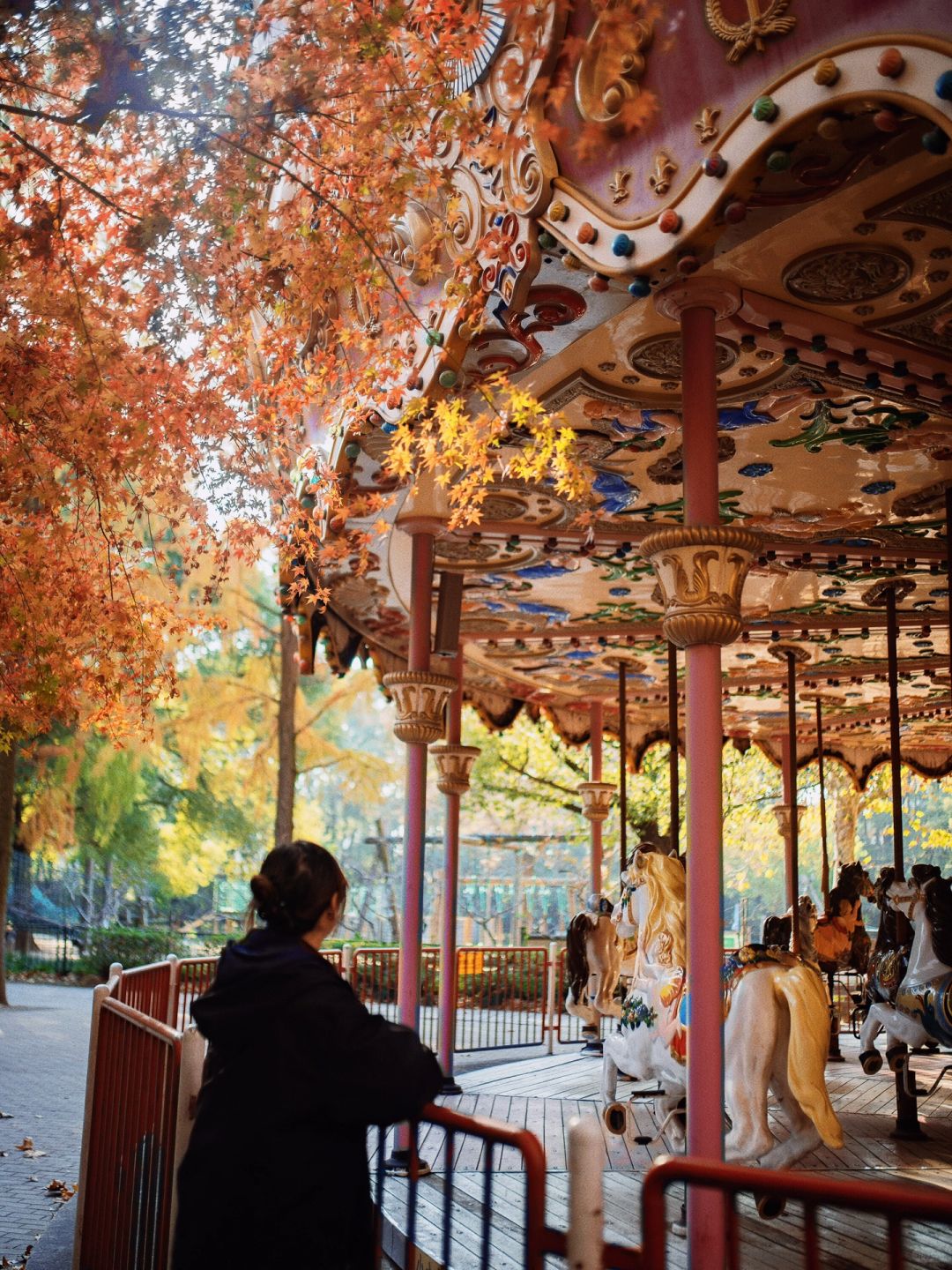 Jiangsu/Zhejiang/Shanghai-Take 10,000 fewer steps! Gongqing Forest Maple Leaf 12/20 Personal Tes