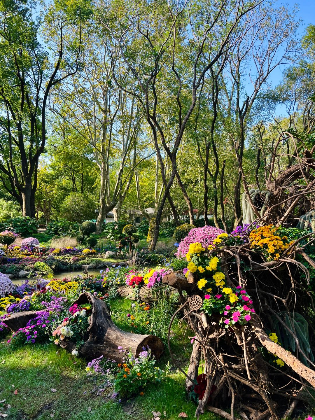 Jiangsu/Zhejiang/Shanghai-Oh my god! Monet's garden was actually decorated with trees blown down