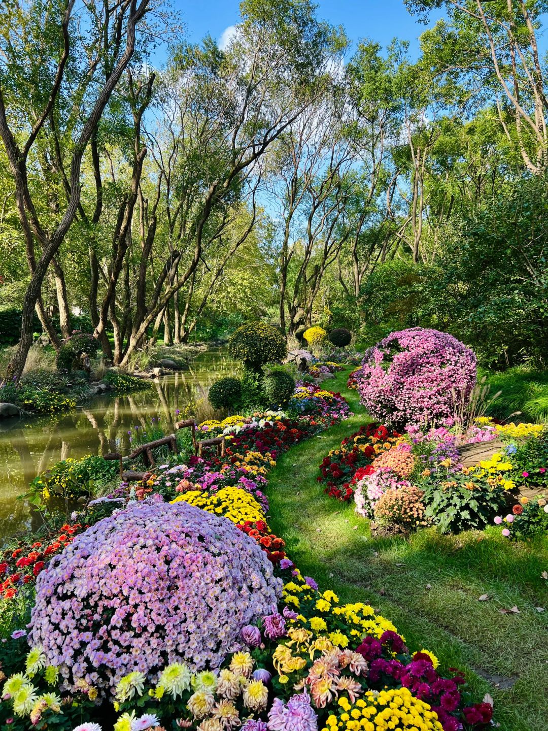 Jiangsu/Zhejiang/Shanghai-Oh my god! Monet's garden was actually decorated with trees blown down