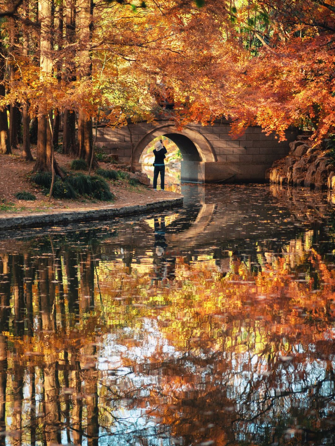 Jiangsu/Zhejiang/Shanghai-Take 10,000 fewer steps! Gongqing Forest Maple Leaf 12/20 Personal Tes