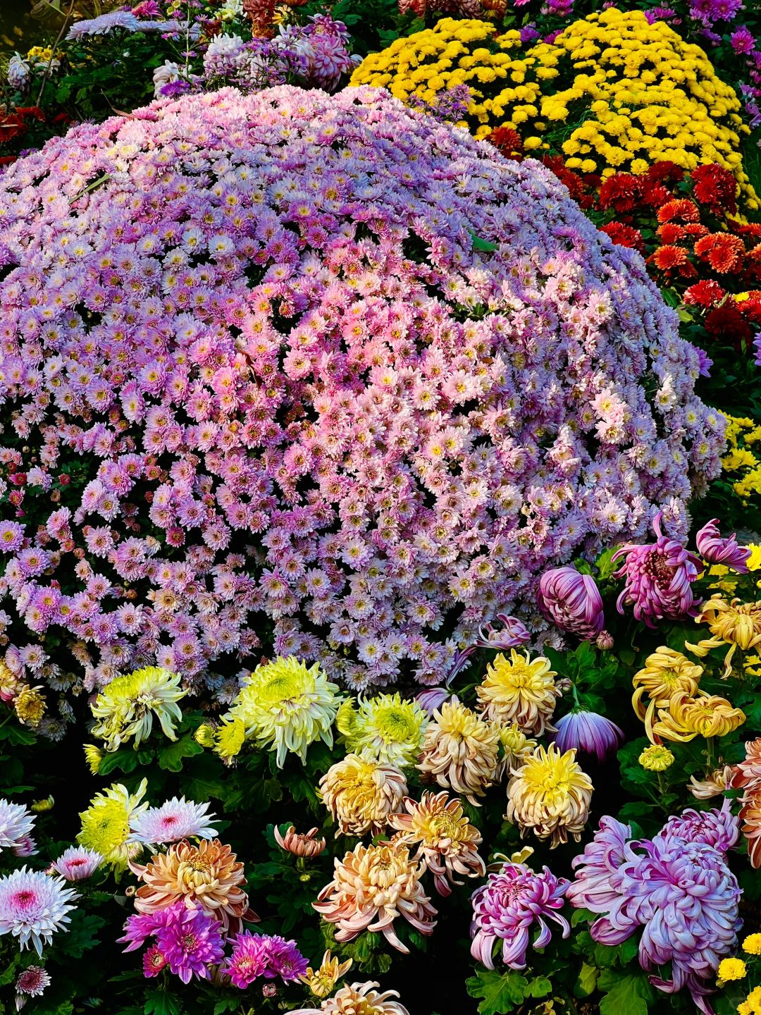 Jiangsu/Zhejiang/Shanghai-Oh my god! Monet's garden was actually decorated with trees blown down