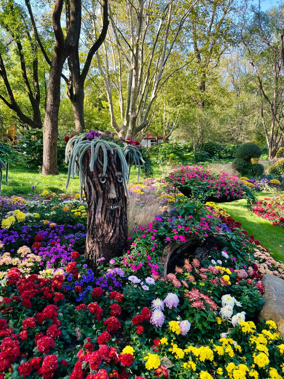 Jiangsu/Zhejiang/Shanghai-Oh my god! Monet's garden was actually decorated with trees blown down