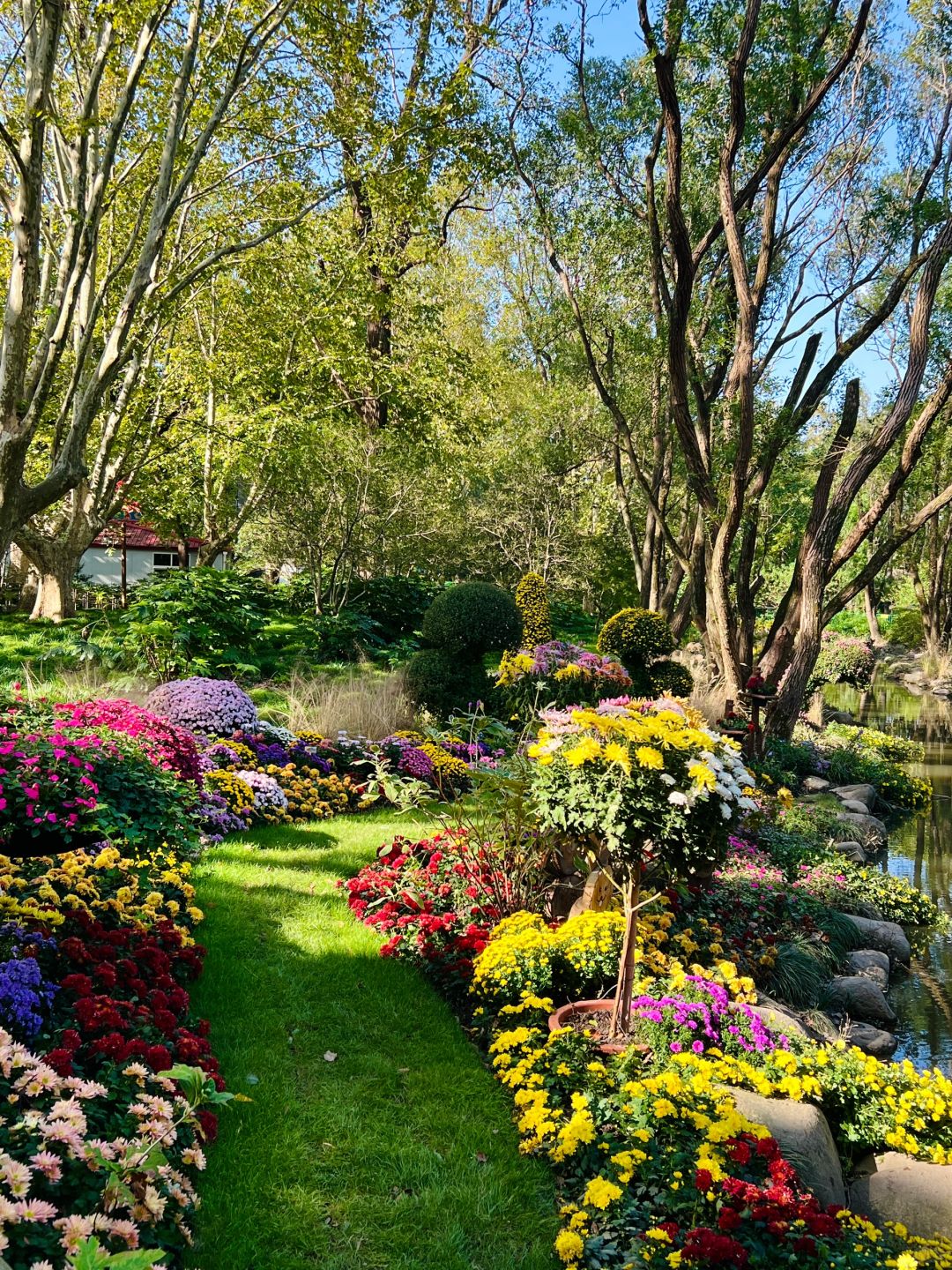 Jiangsu/Zhejiang/Shanghai-Oh my god! Monet's garden was actually decorated with trees blown down