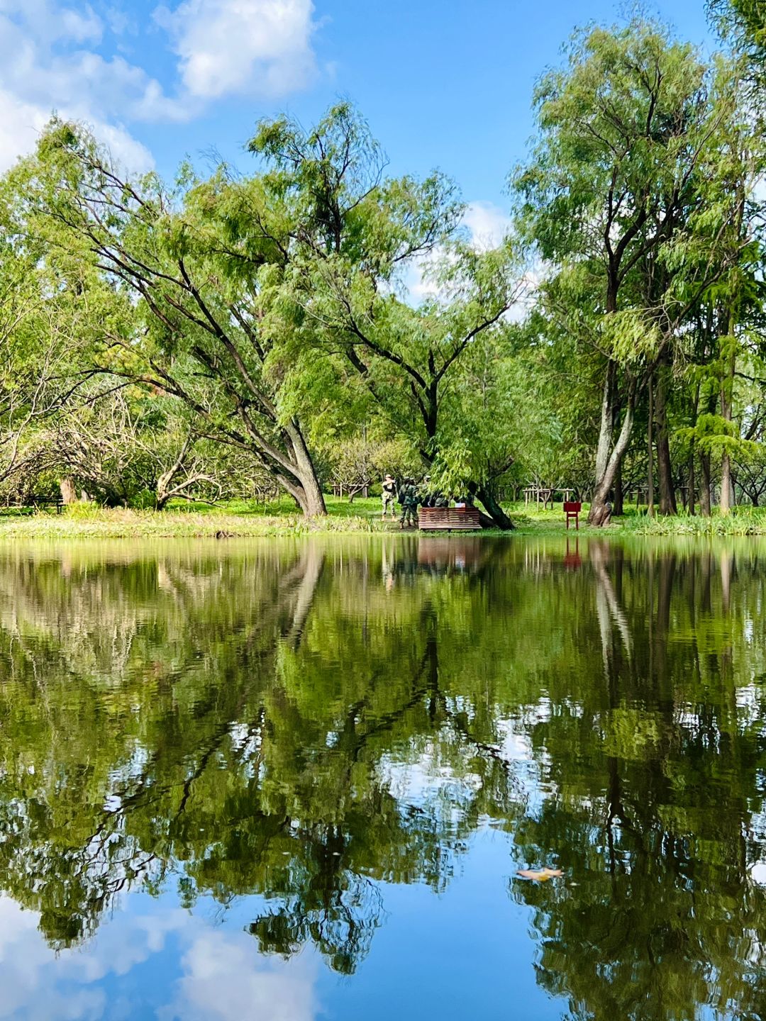 Jiangsu/Zhejiang/Shanghai-Oh my god! Monet's garden was actually decorated with trees blown down