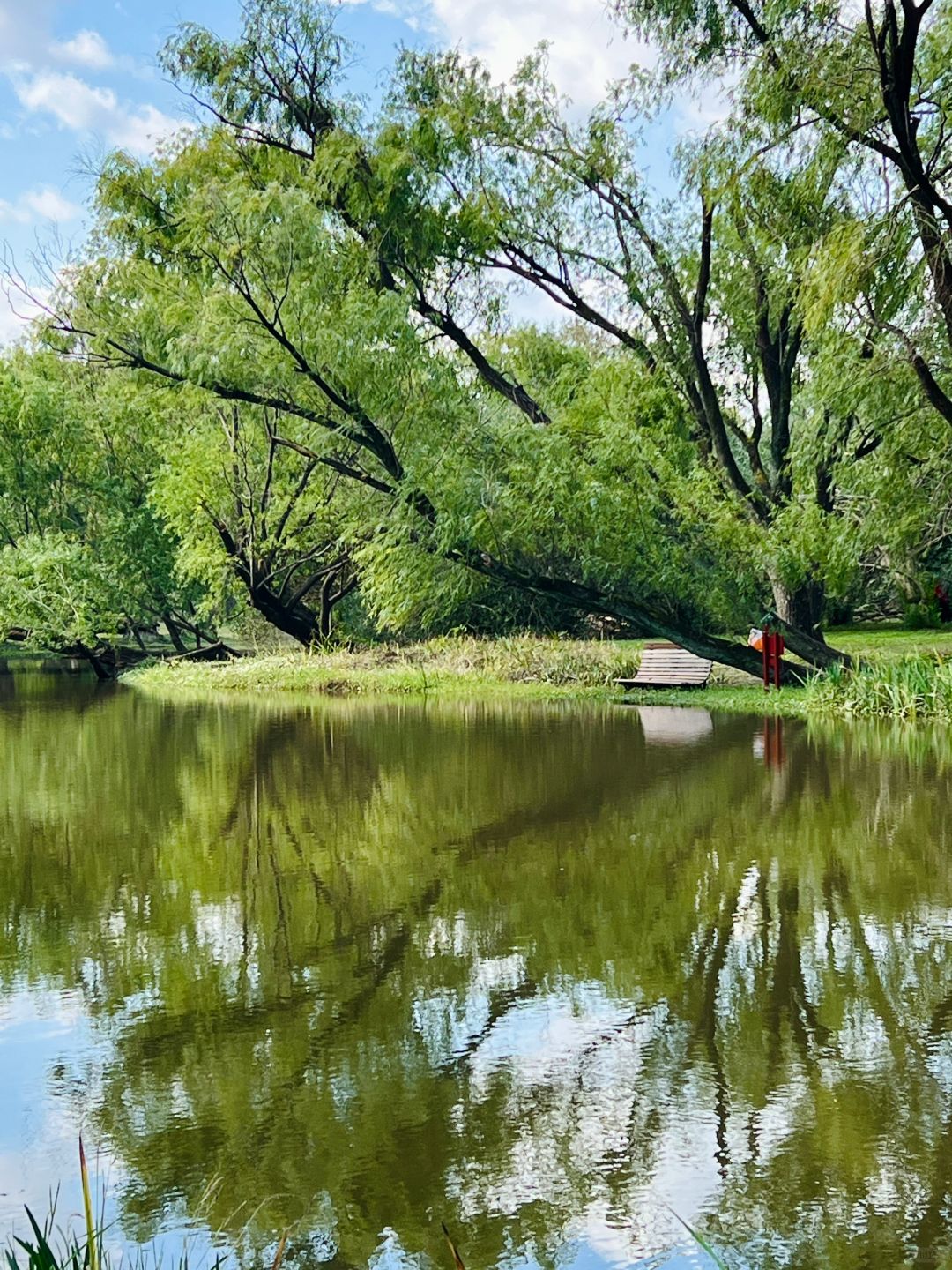 Jiangsu/Zhejiang/Shanghai-Oh my god! Monet's garden was actually decorated with trees blown down