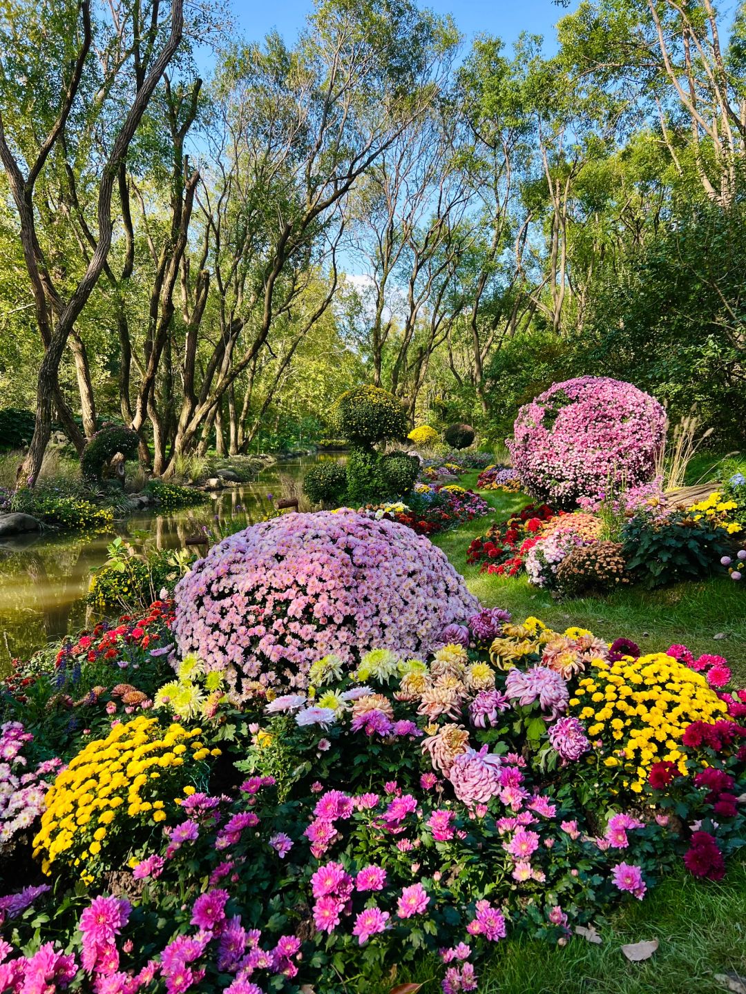 Jiangsu/Zhejiang/Shanghai-Oh my god! Monet's garden was actually decorated with trees blown down