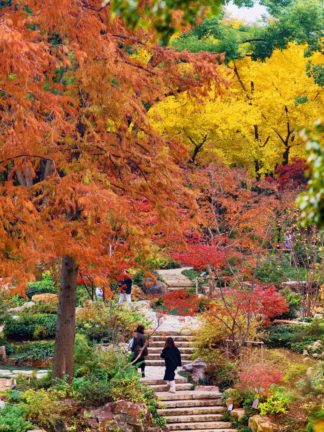 Jiangsu/Zhejiang/Shanghai-No exaggeration! One of the most beautiful small parks in Shanghai thi