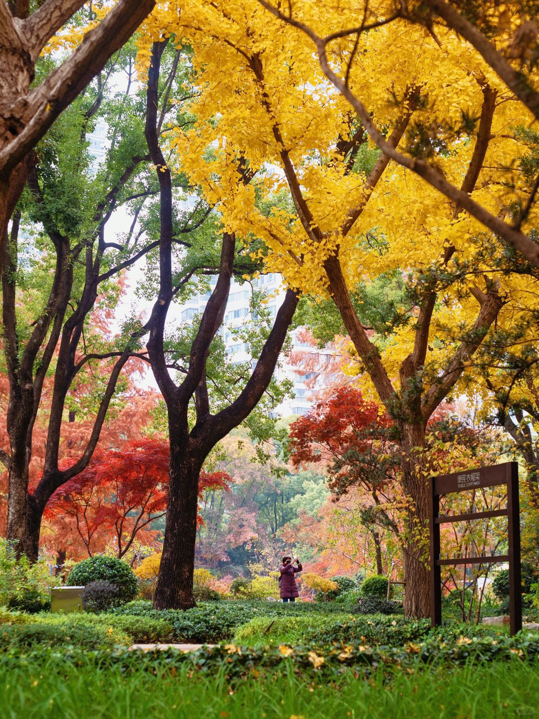 Jiangsu/Zhejiang/Shanghai-No exaggeration! One of the most beautiful small parks in Shanghai thi