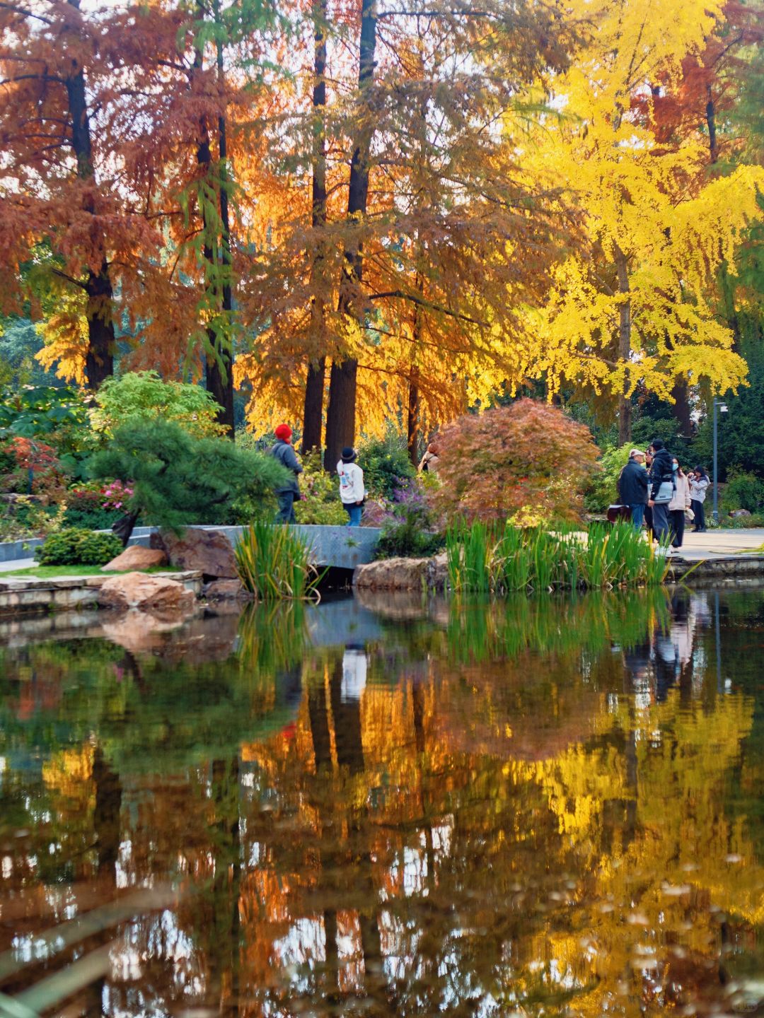 Jiangsu/Zhejiang/Shanghai-No exaggeration! One of the most beautiful small parks in Shanghai thi