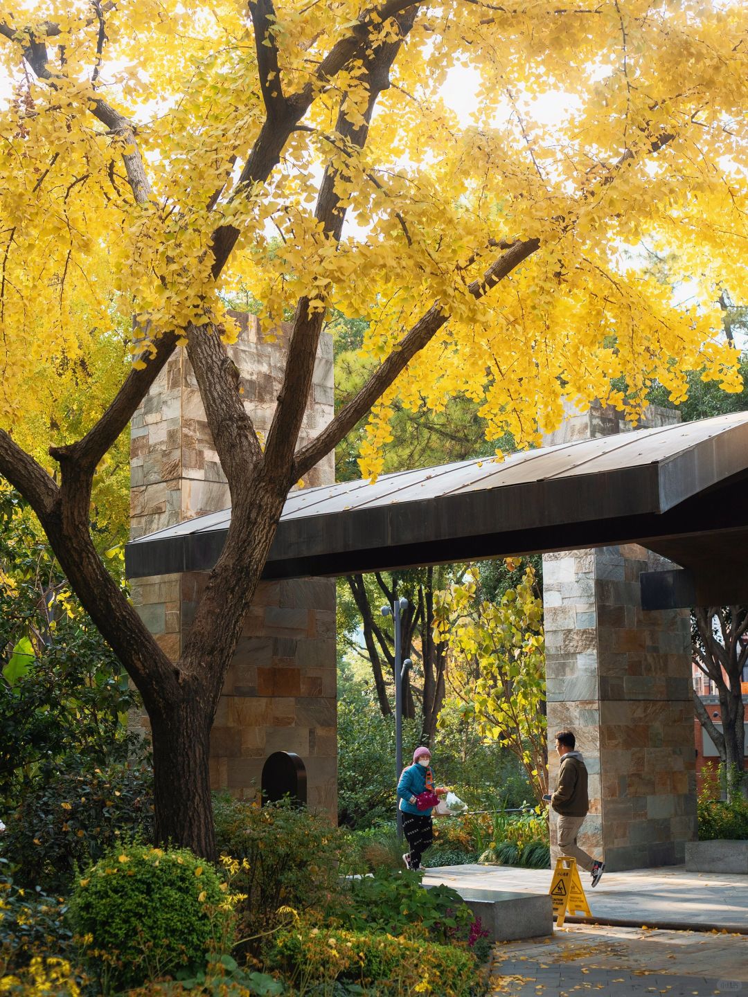 Jiangsu/Zhejiang/Shanghai-No exaggeration! One of the most beautiful small parks in Shanghai thi