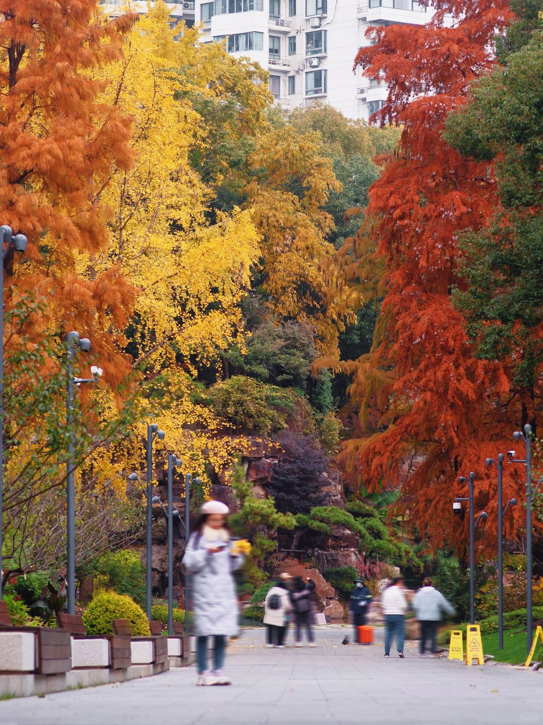 Jiangsu/Zhejiang/Shanghai-No exaggeration! One of the most beautiful small parks in Shanghai thi