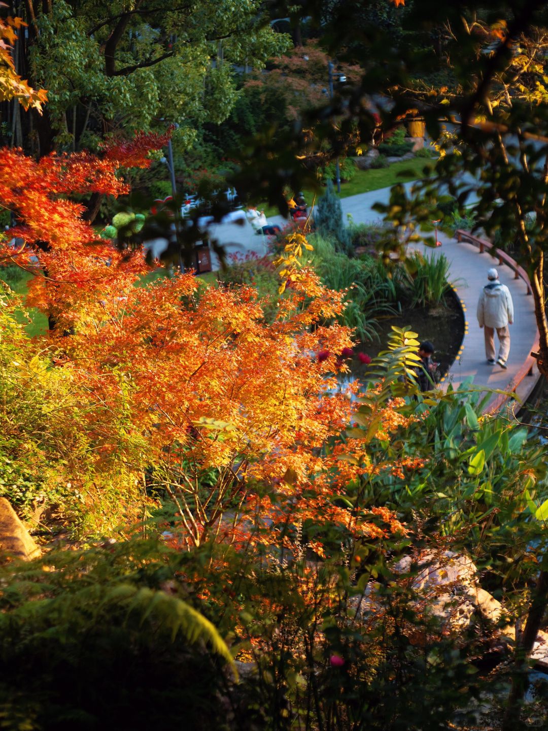 Jiangsu/Zhejiang/Shanghai-No exaggeration! One of the most beautiful small parks in Shanghai thi