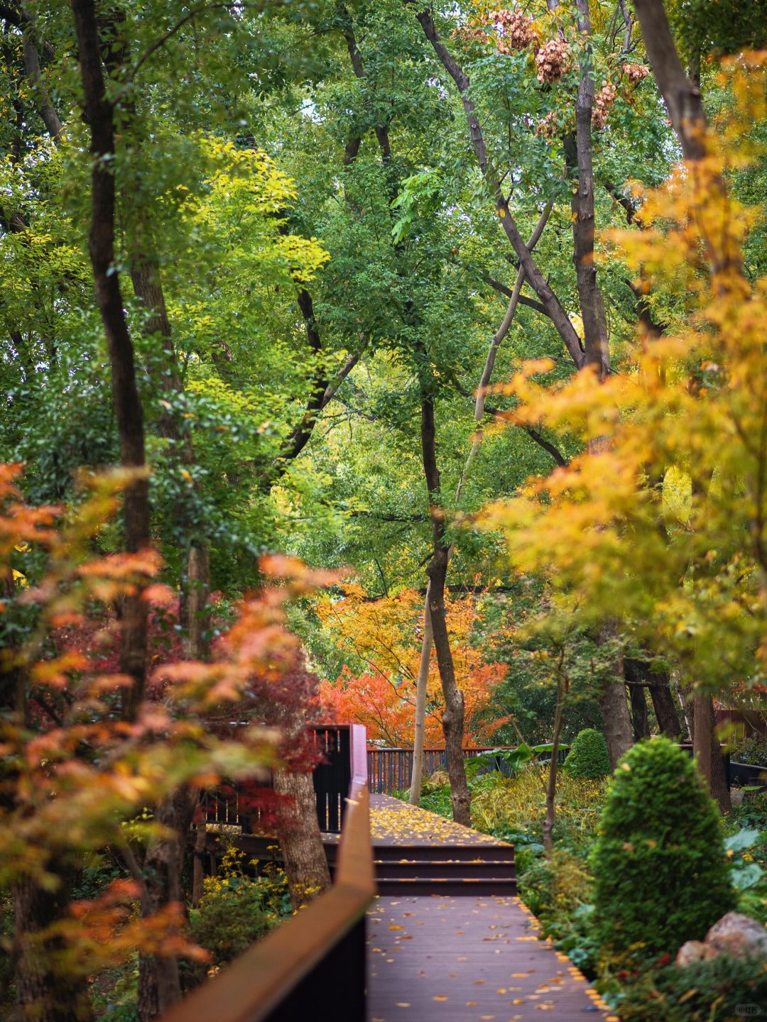 Jiangsu/Zhejiang/Shanghai-No exaggeration! One of the most beautiful small parks in Shanghai thi