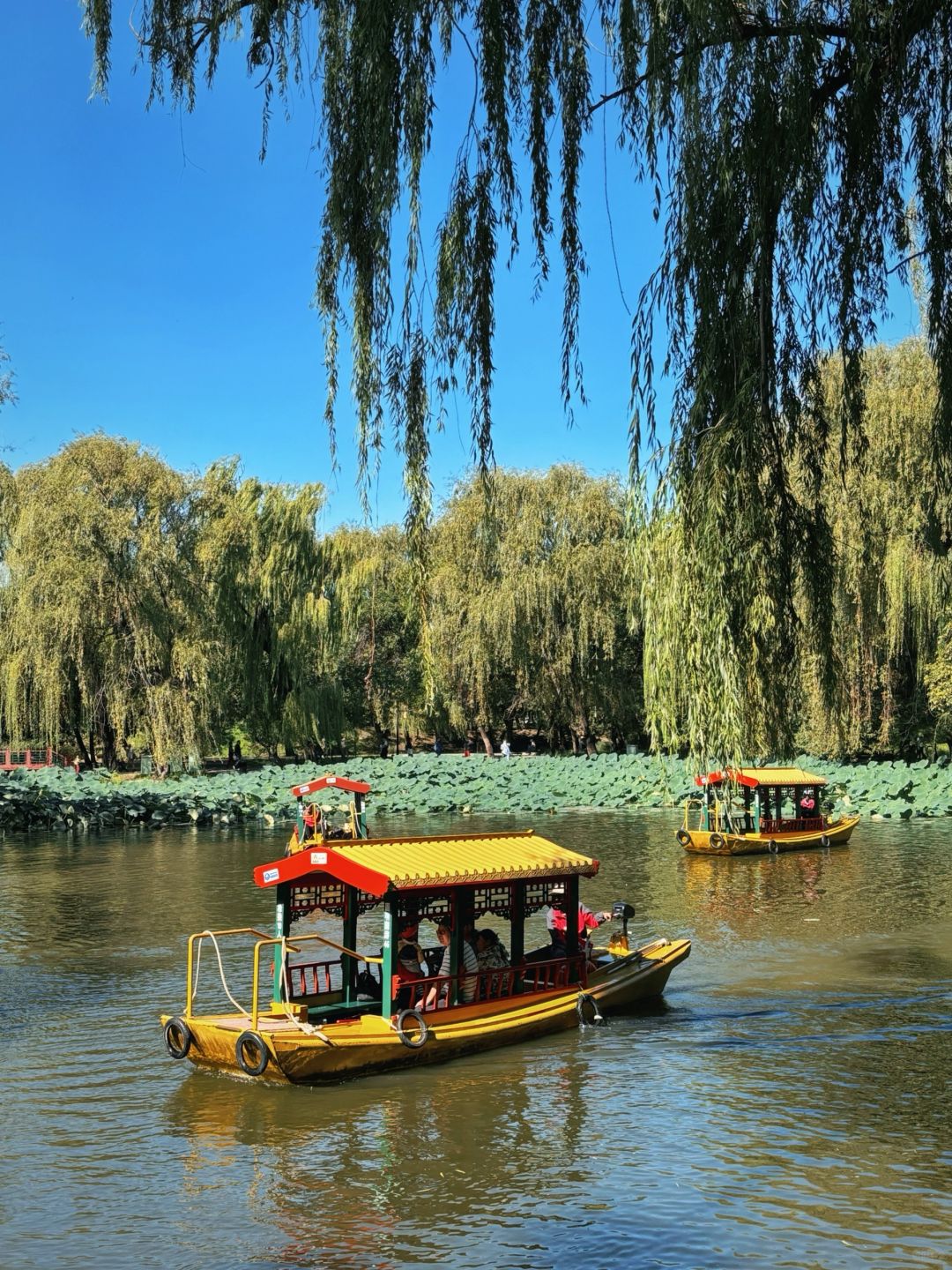 Beijing/Tianjin-The Old Summer Palace will really dissuade everyone who doesn’t do th