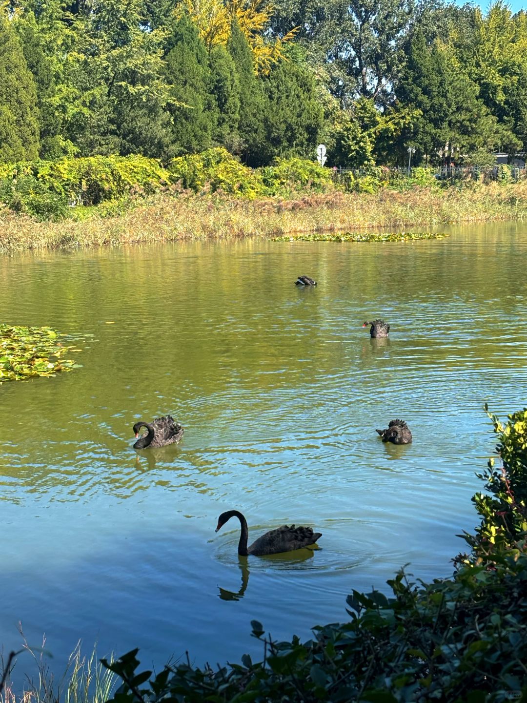 Beijing/Tianjin-The Old Summer Palace will really dissuade everyone who doesn’t do th