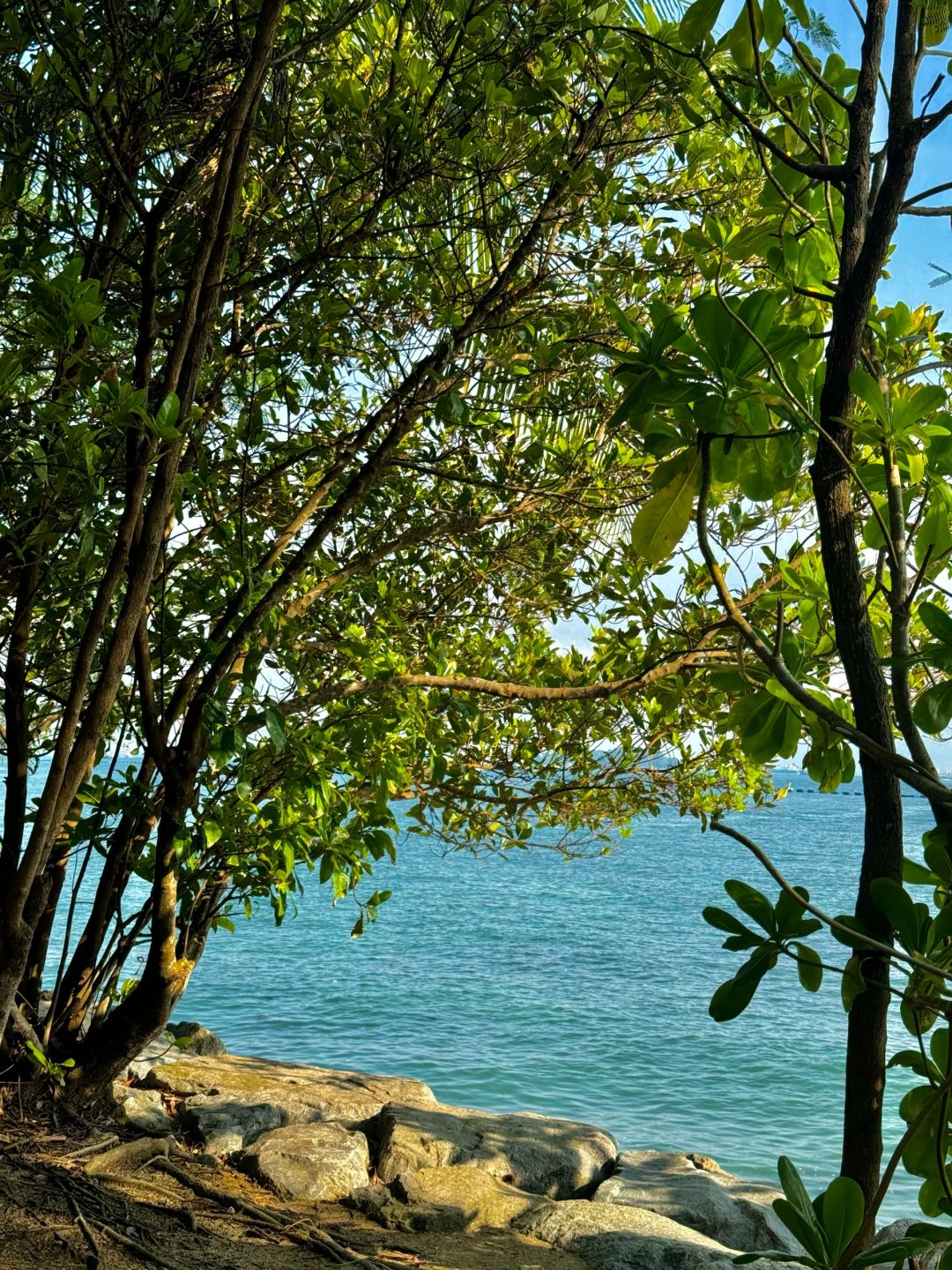 Singapore-Palawan Beach in Singapore feels like a vacation, overlooking Mount Faber and the Strait