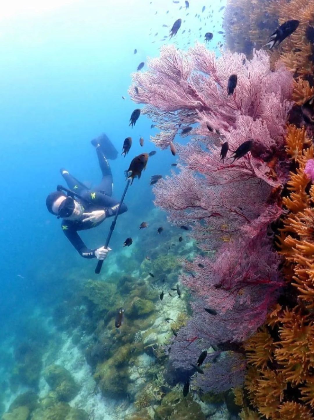 Pattaya-Pattaya's little island, Mount Samet, a treasure wonderland hidden in the deep blue sea