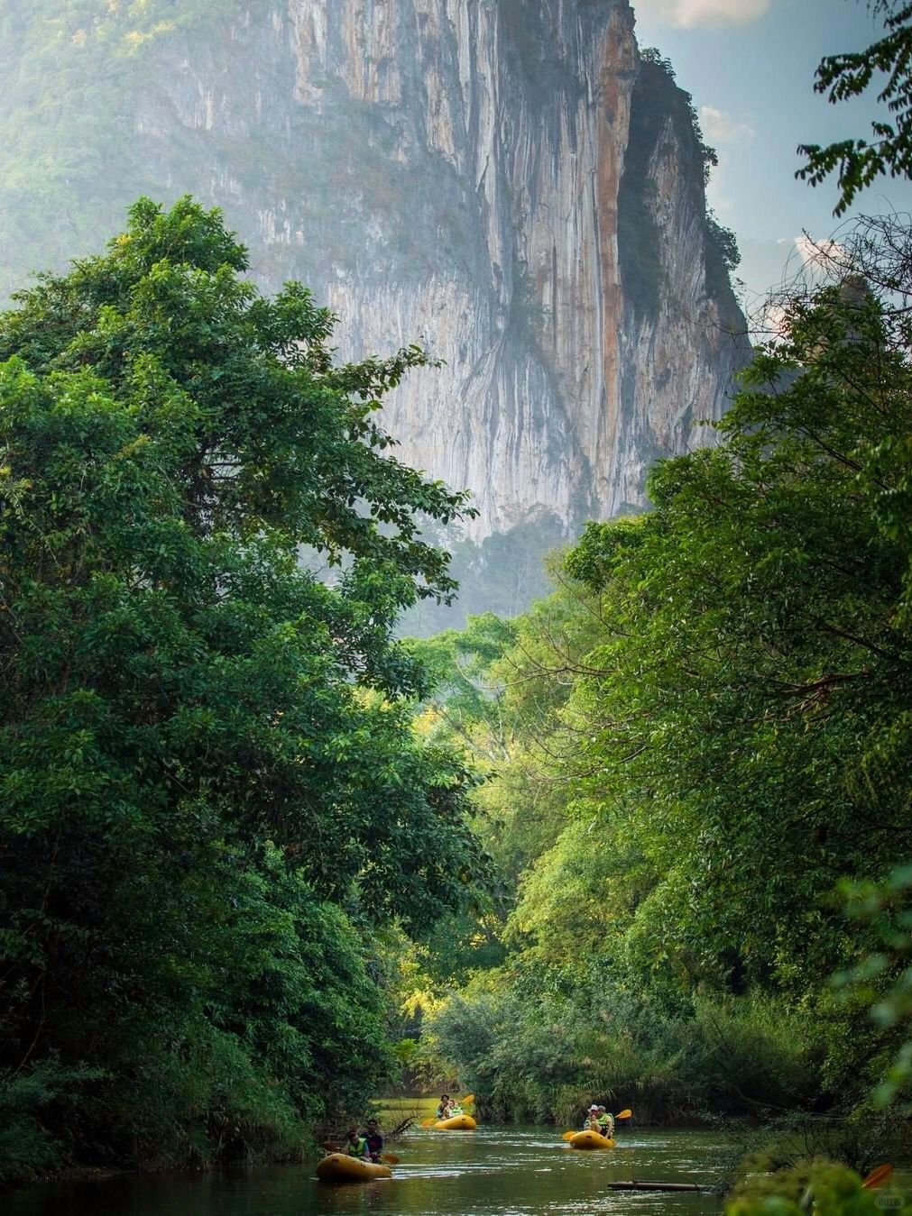 Phuket-Khao Sok National Park, Phuket, 🚶‍♂ the oldest tropical rainforest in Thailand