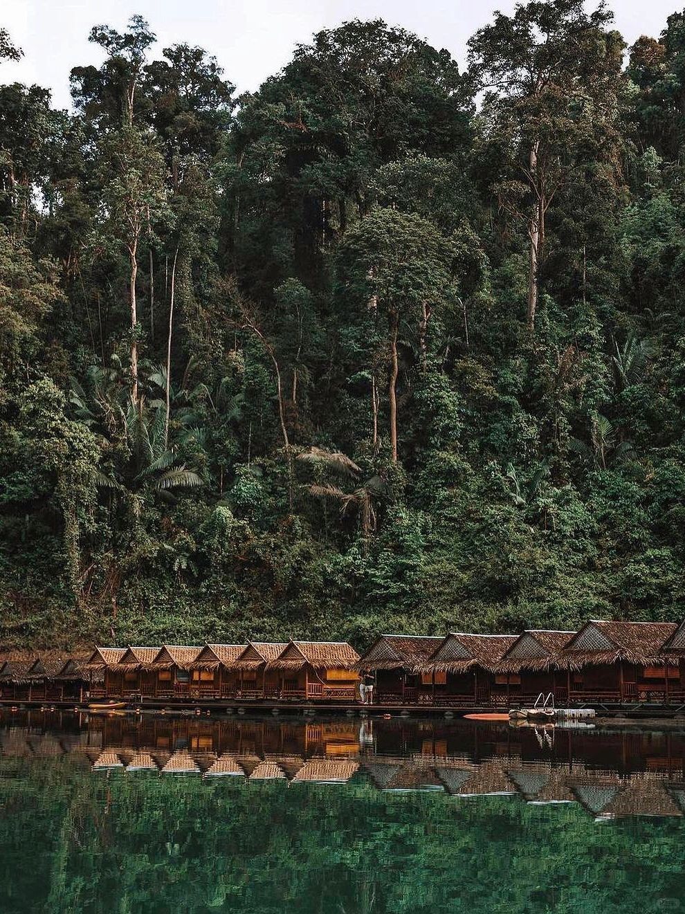 Phuket-Khao Sok National Park, Phuket, 🚶‍♂ the oldest tropical rainforest in Thailand