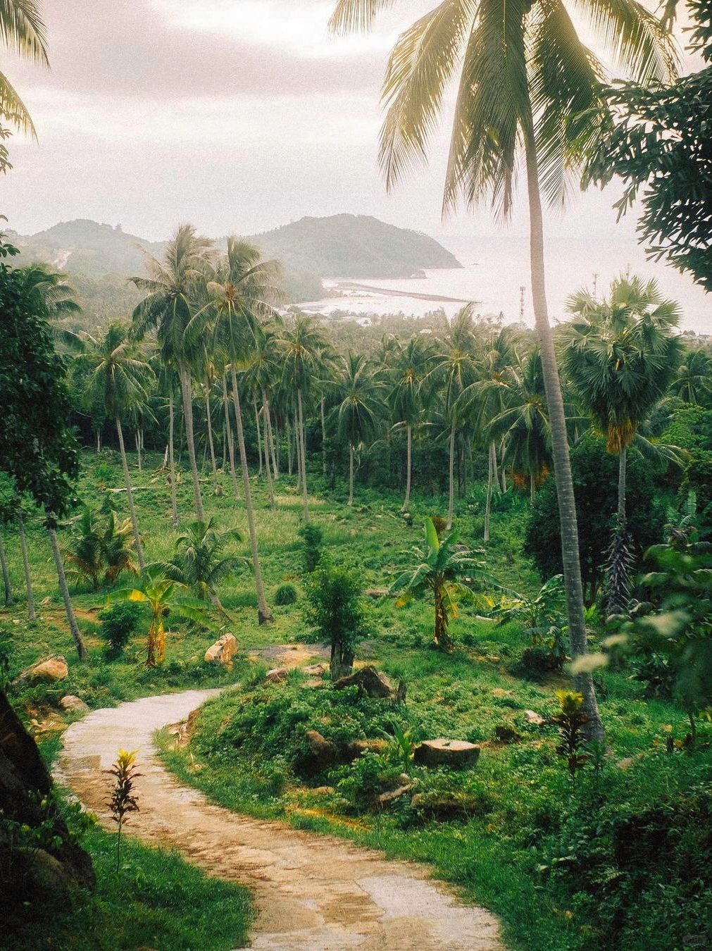 Phuket-Khao Sok National Park, Phuket, 🚶‍♂ the oldest tropical rainforest in Thailand