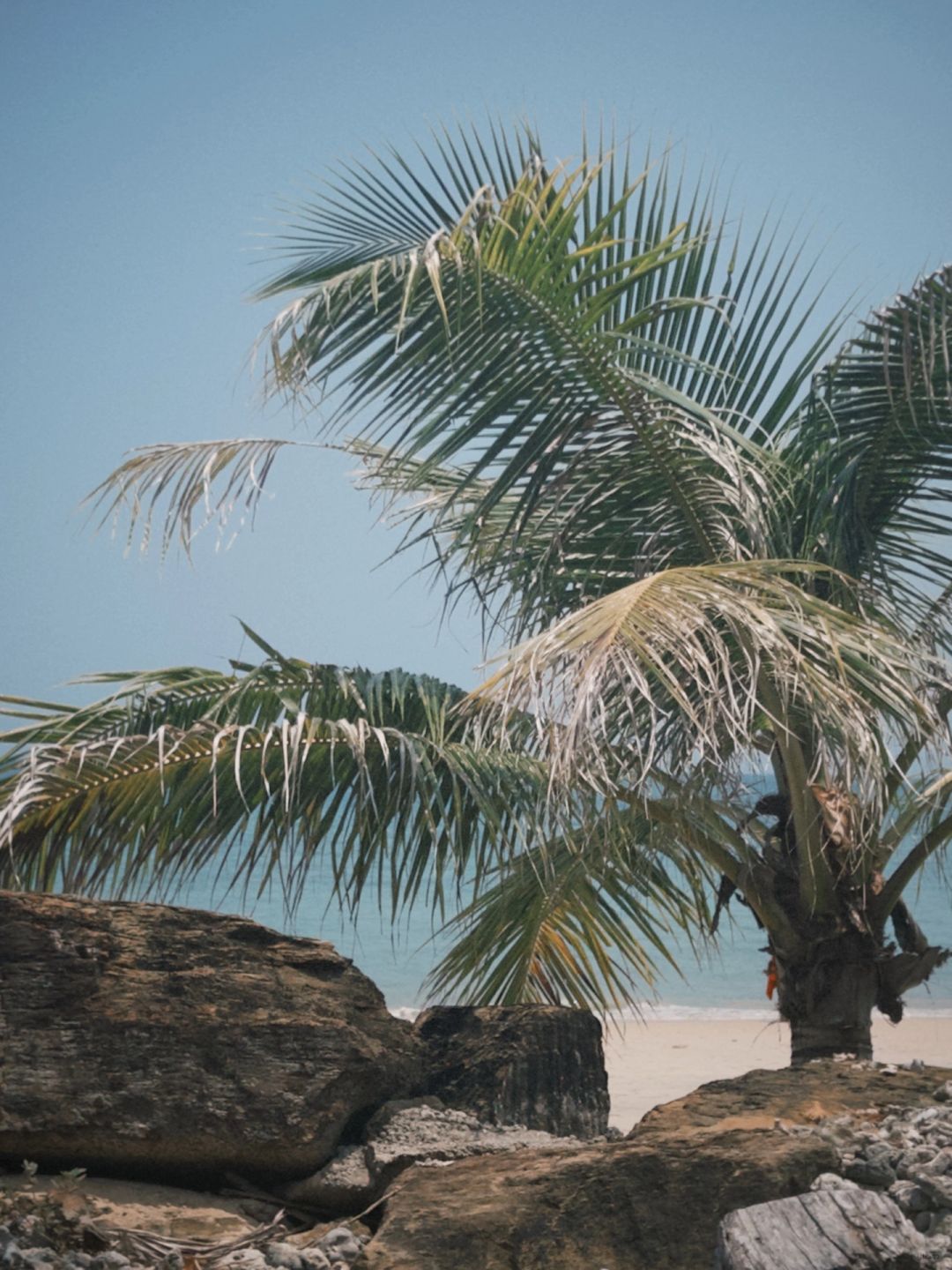 Krabi-Nong Thale Beyond Krabi, a super beautiful seaside hotel with its own private beach