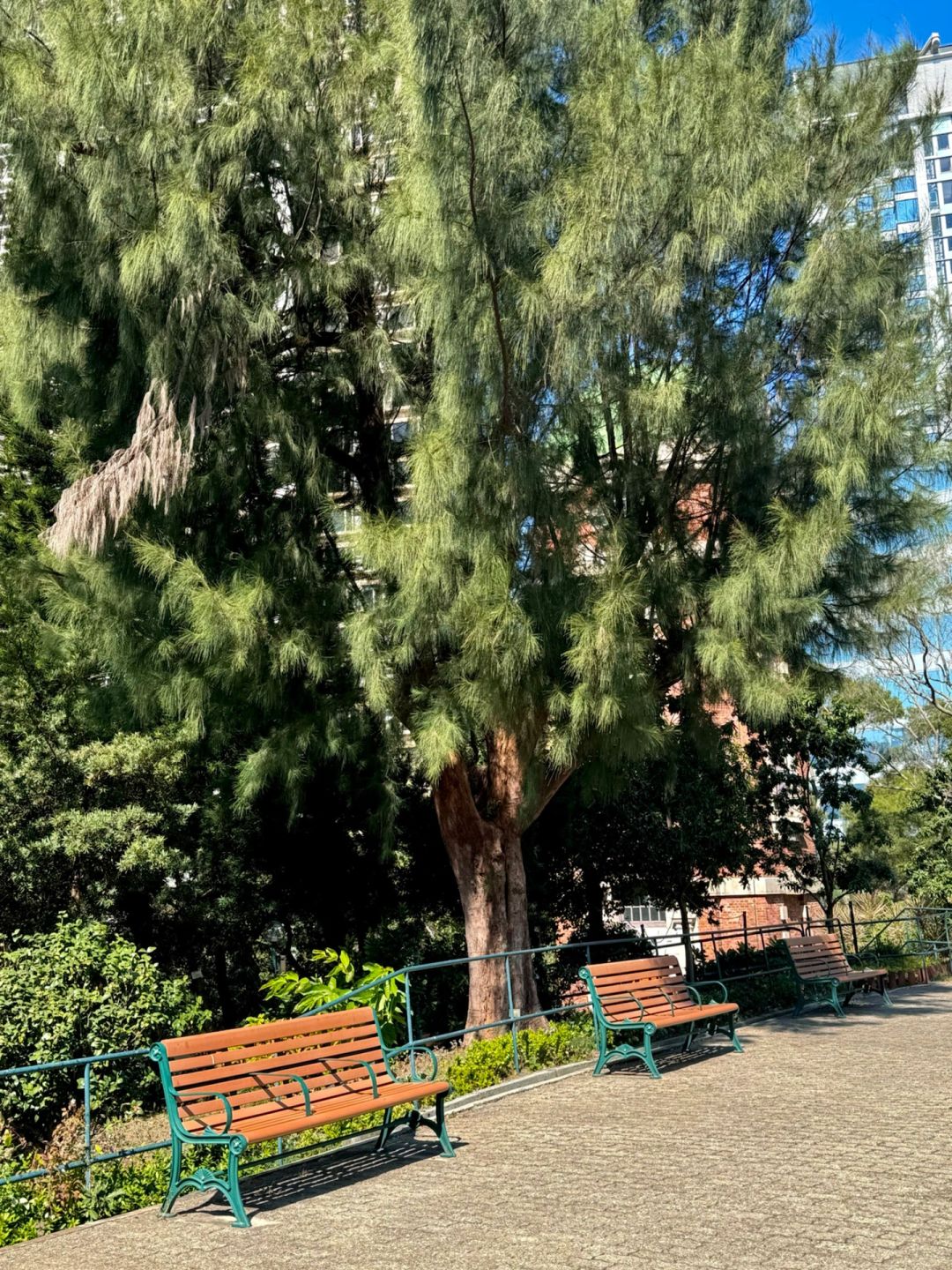 Hong kong-Signal Hill Garden in Tsim Sha Tsui great view of the sea and is suitable for couples to date