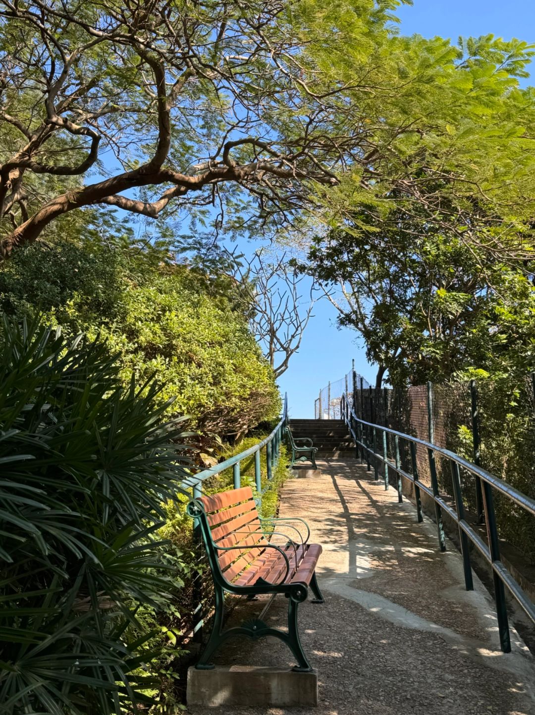 Hong kong-Signal Hill Garden in Tsim Sha Tsui great view of the sea and is suitable for couples to date