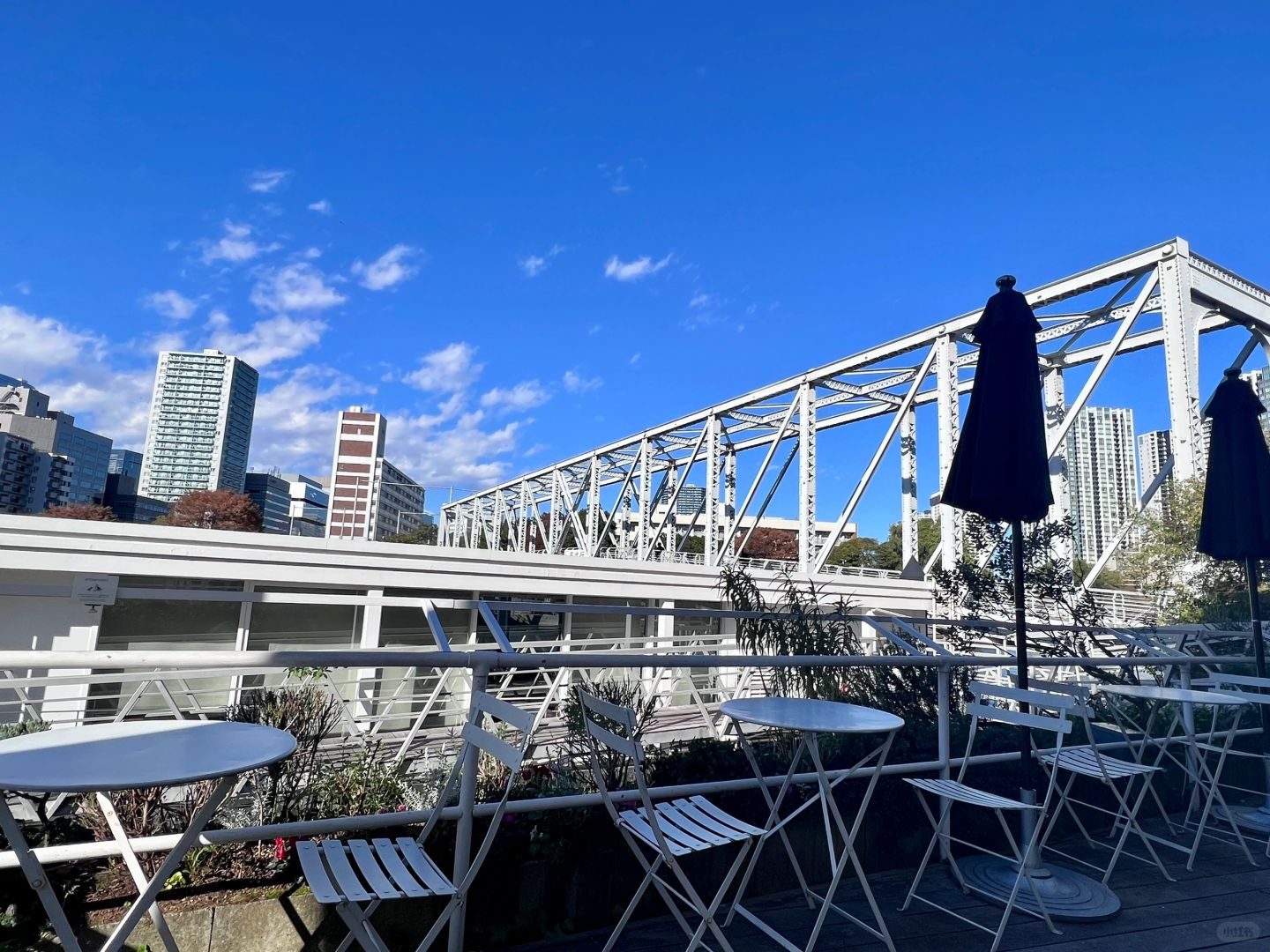 Tokyo-Breadworks x Lily Cakes, Shinagawa, Tokyo, a cafe with beautiful view on the canal