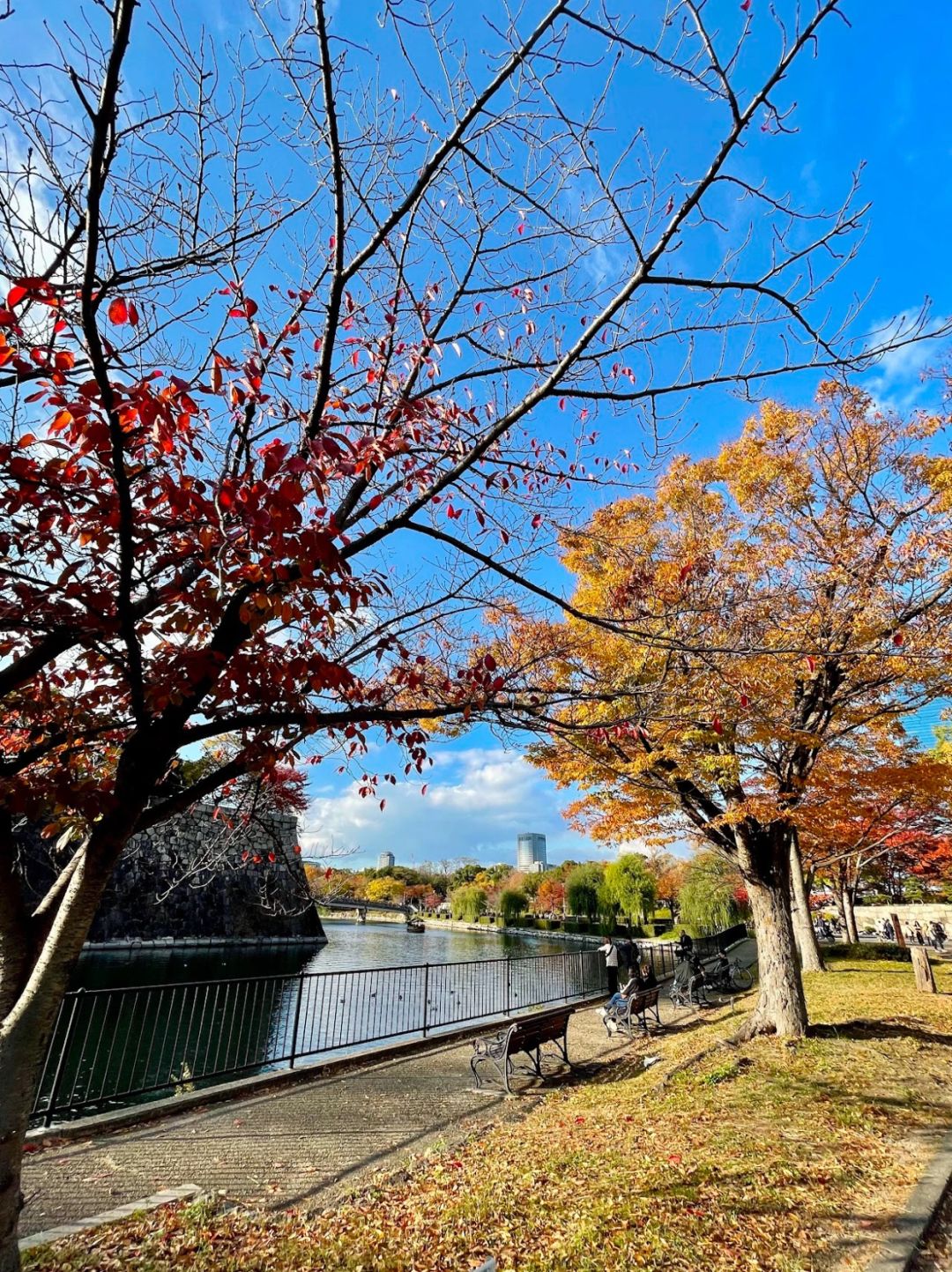 Osaka-Guide to visiting Osaka Castle Park: You can't see maple leaves or cherry blossoms here