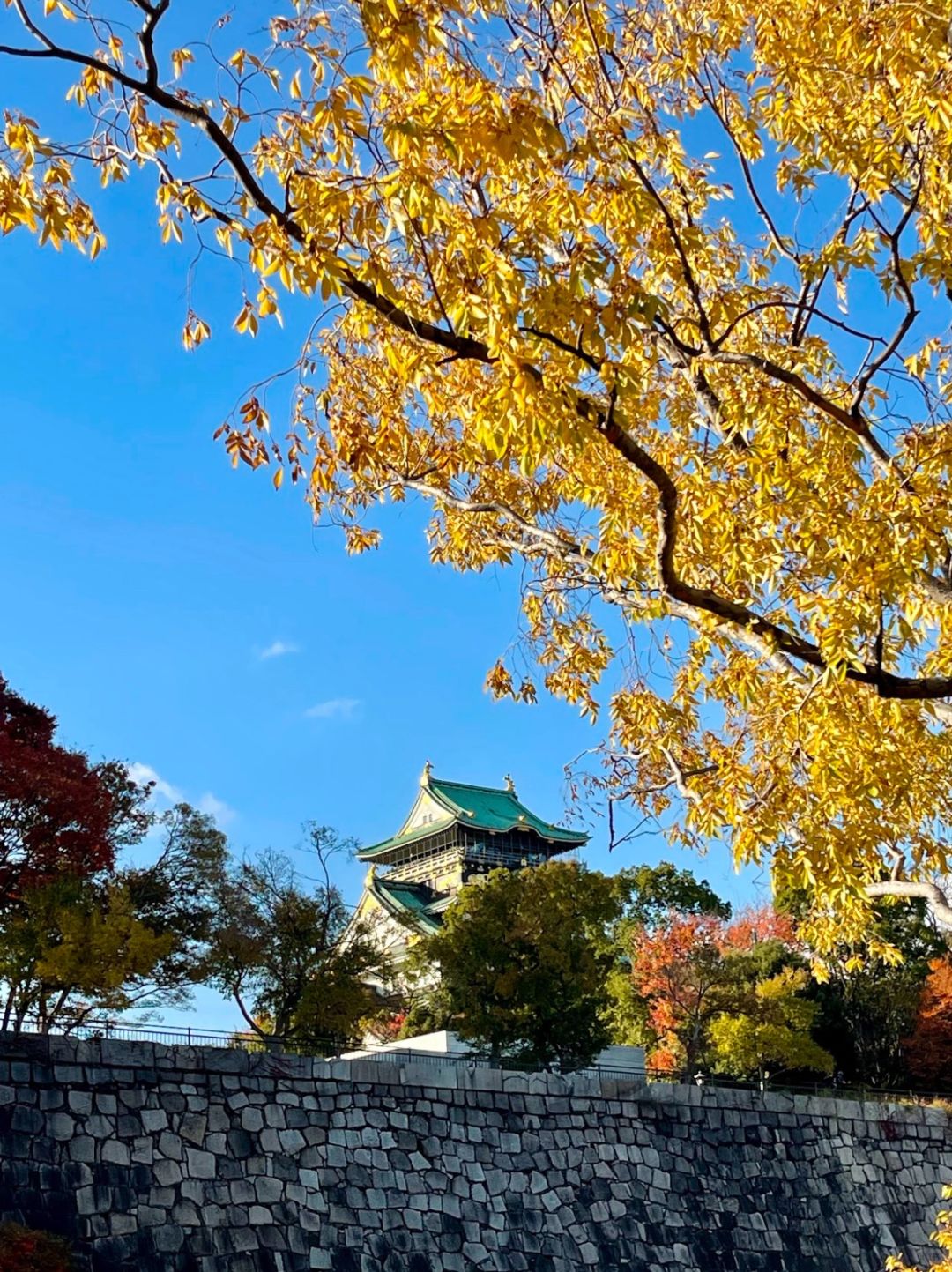 Osaka-Guide to visiting Osaka Castle Park: You can't see maple leaves or cherry blossoms here