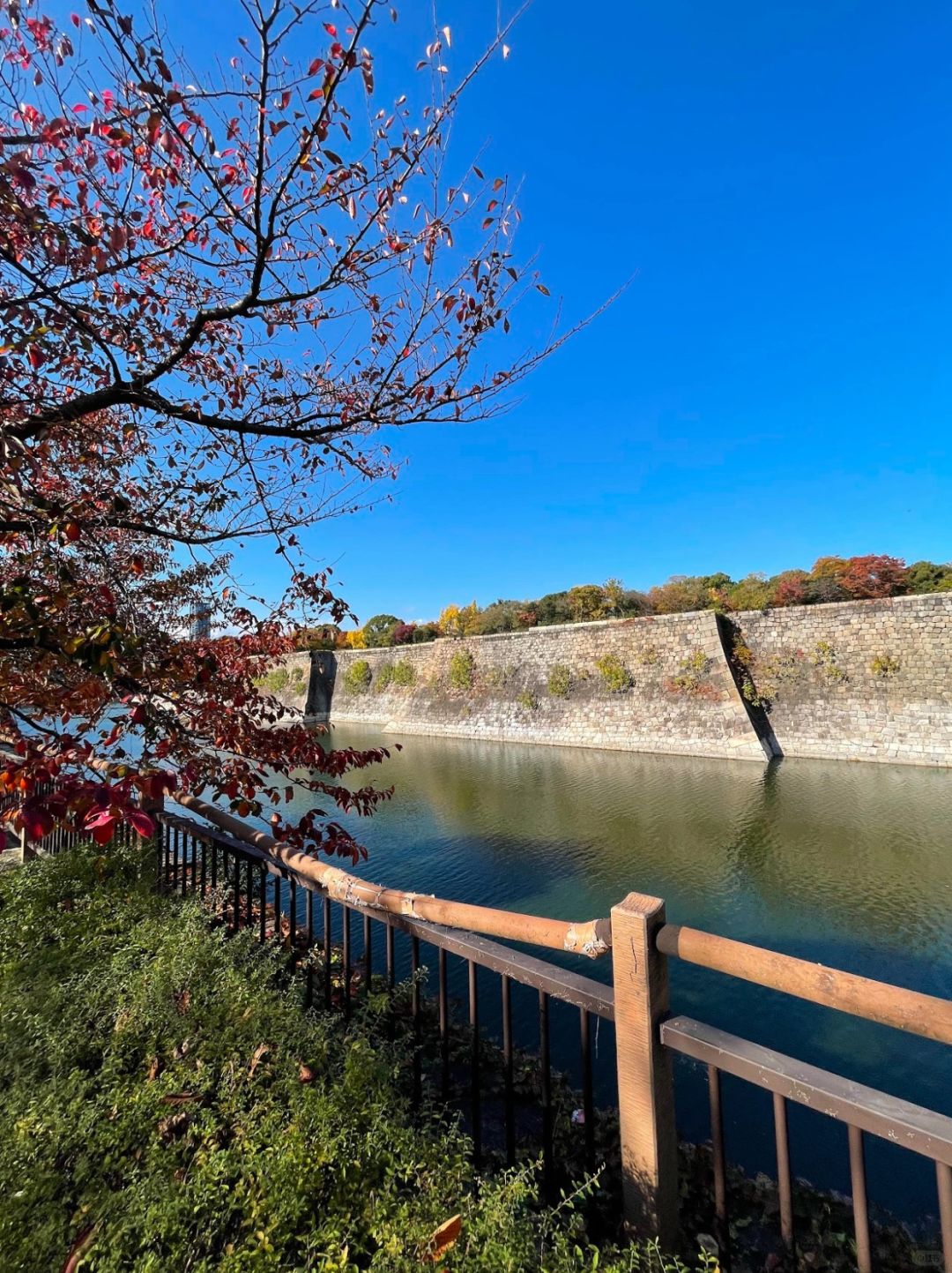 Osaka-Guide to visiting Osaka Castle Park: You can't see maple leaves or cherry blossoms here