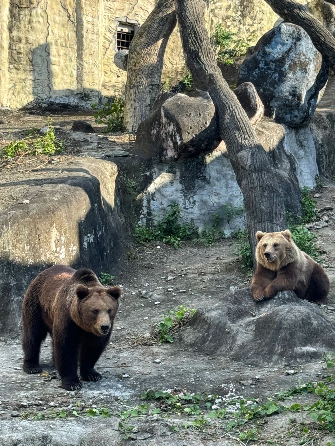 Clark/Angel City-Clark Safari and Adventure Park, where you can get up close and personal with animals