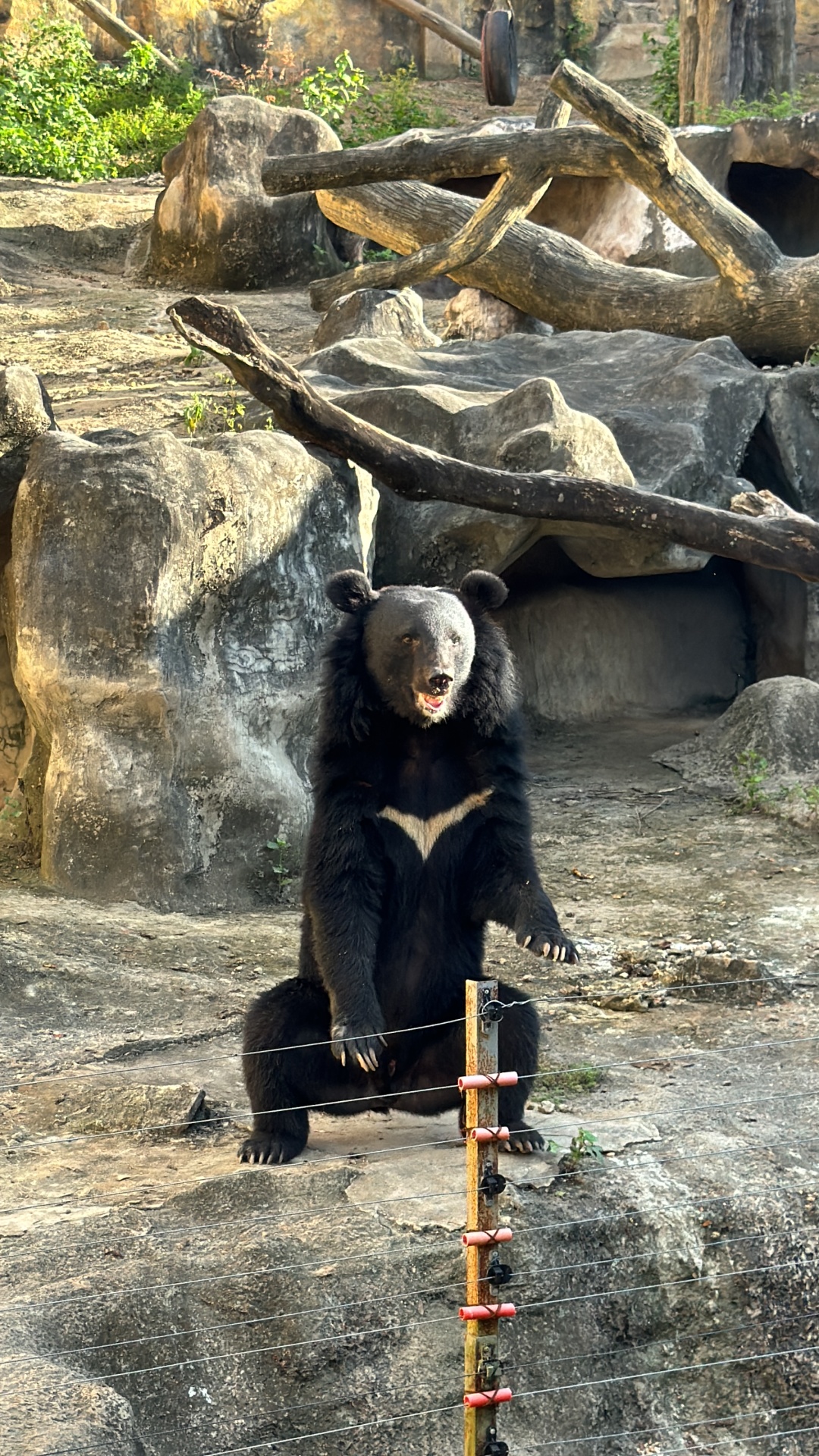 Clark/Angel City-Clark Safari and Adventure Park, where you can get up close and personal with animals