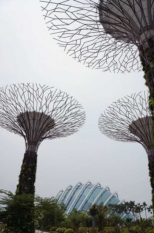 Singapore-Singapore's Gardens by the Bay, 18 "Supertrees" 25 to 50 meters high, and more than 160,000 tropical plants