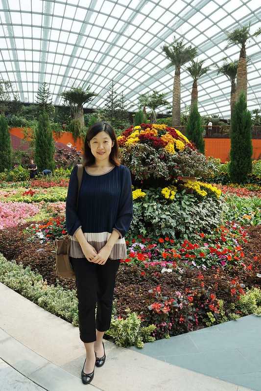 Singapore-Singapore's Gardens by the Bay, 18 "Supertrees" 25 to 50 meters high, and more than 160,000 tropical plants