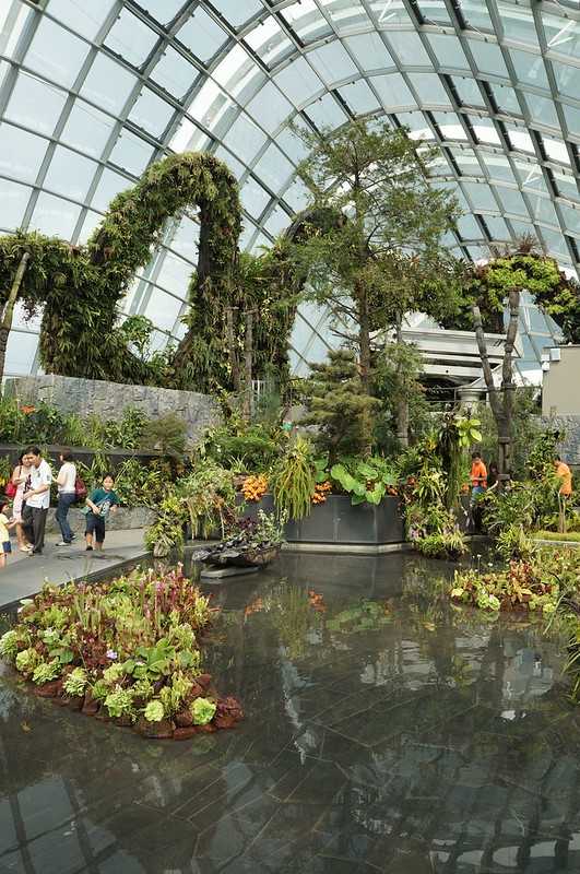 Singapore-Singapore's Gardens by the Bay, 18 "Supertrees" 25 to 50 meters high, and more than 160,000 tropical plants