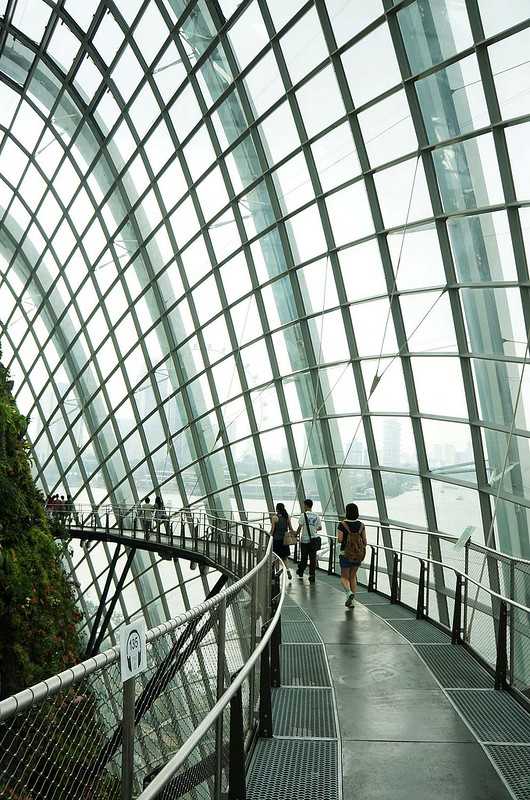 Singapore-Singapore's Gardens by the Bay, 18 "Supertrees" 25 to 50 meters high, and more than 160,000 tropical plants