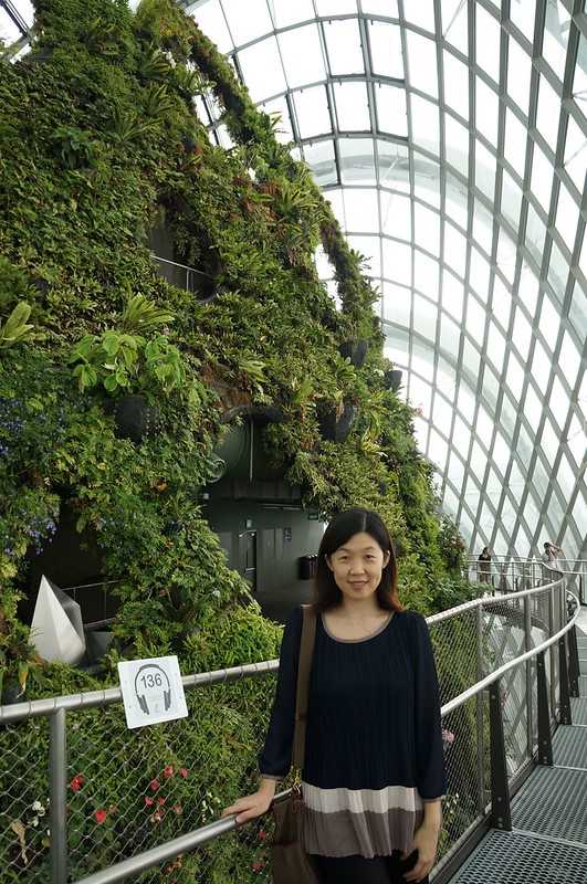 Singapore-Singapore's Gardens by the Bay, 18 "Supertrees" 25 to 50 meters high, and more than 160,000 tropical plants