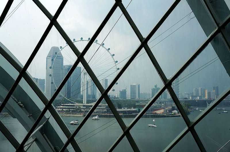 Singapore-Singapore's Gardens by the Bay, 18 "Supertrees" 25 to 50 meters high, and more than 160,000 tropical plants