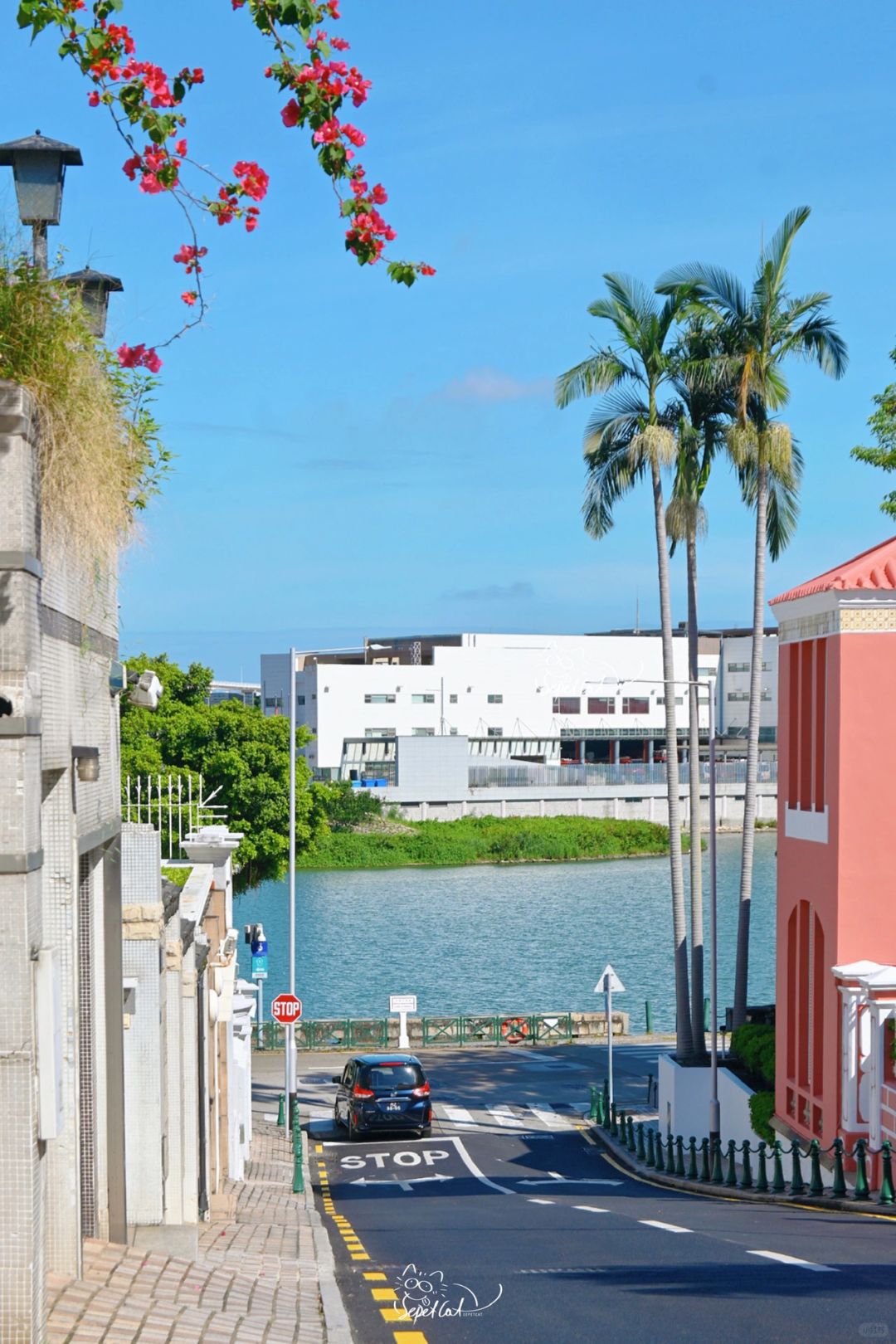 Macao-City Walk in Yiwan Alley, Macau Peninsula, Fairytale path leading to a pink house by the sea