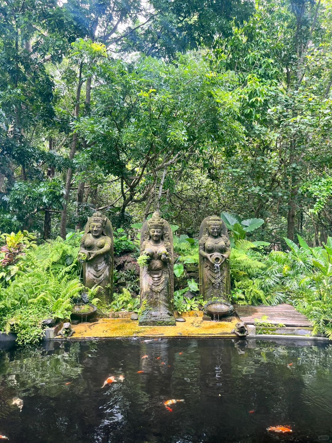 Bali-Bali Monkey Forest Park, Temple built 17th century, has lush trees and gentle monkeys