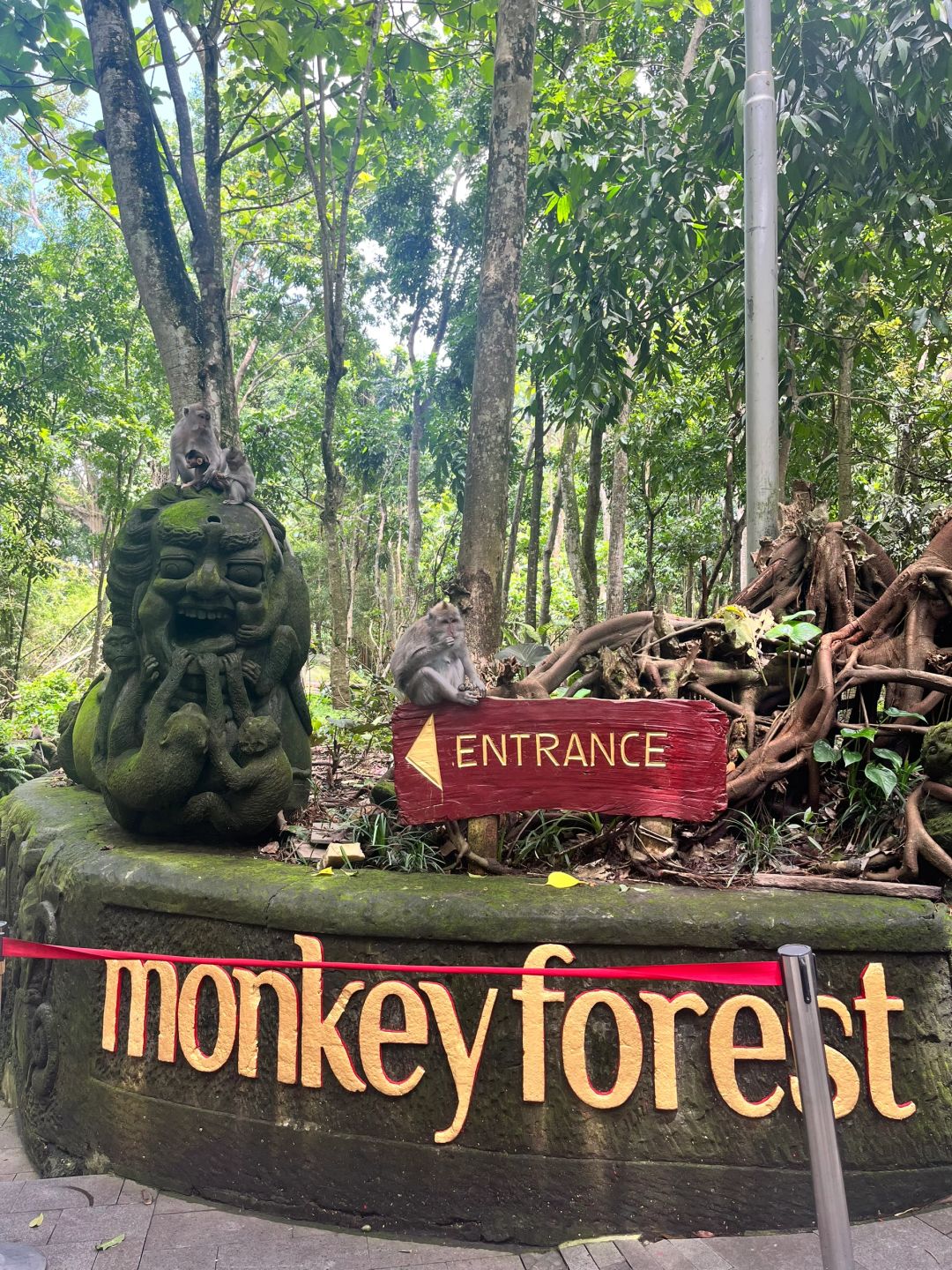 Bali-Bali Monkey Forest Park, Temple built 17th century, has lush trees and gentle monkeys