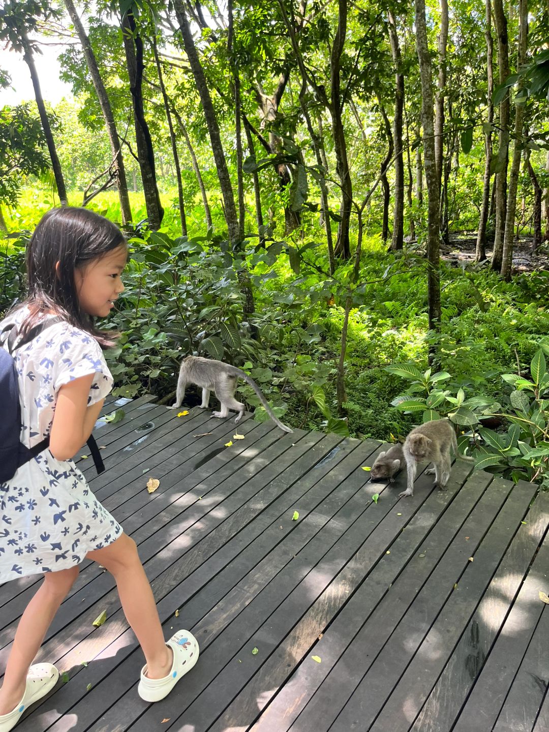 Bali-Bali Monkey Forest Park, Temple built 17th century, has lush trees and gentle monkeys