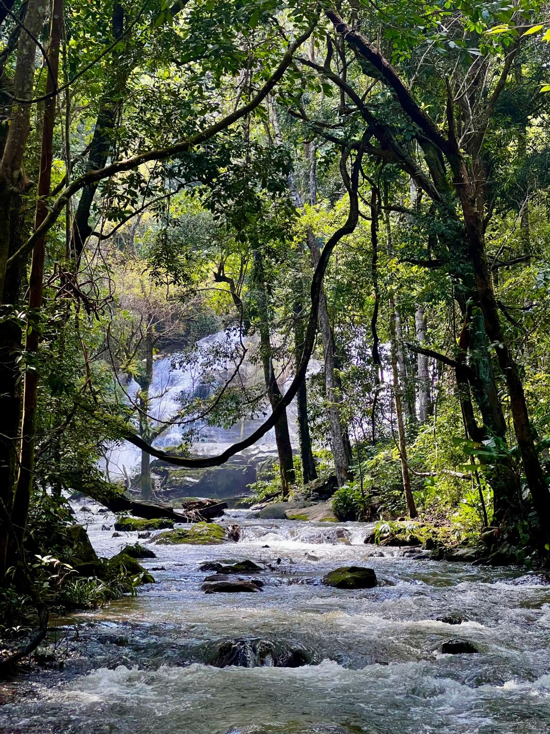 Chiang Mai-Chiang Mai Doi Inthanon National Park, passing streams, waterfalls and rice fields