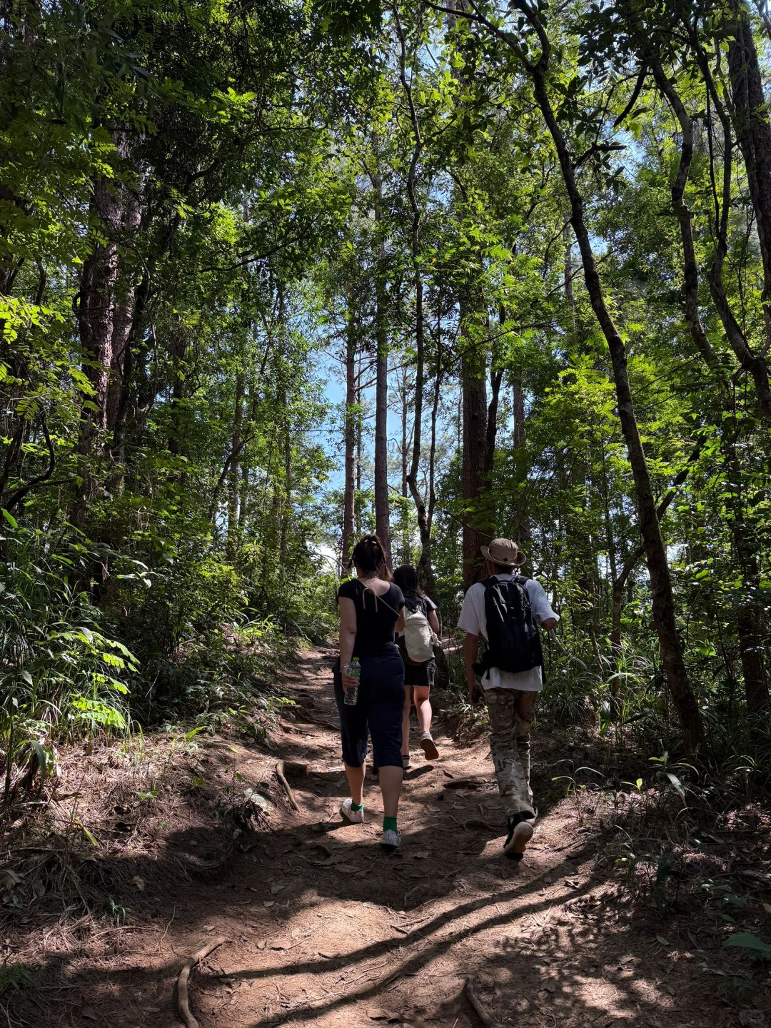 Chiang Mai-Chiang Mai Doi Inthanon National Park, passing streams, waterfalls and rice fields