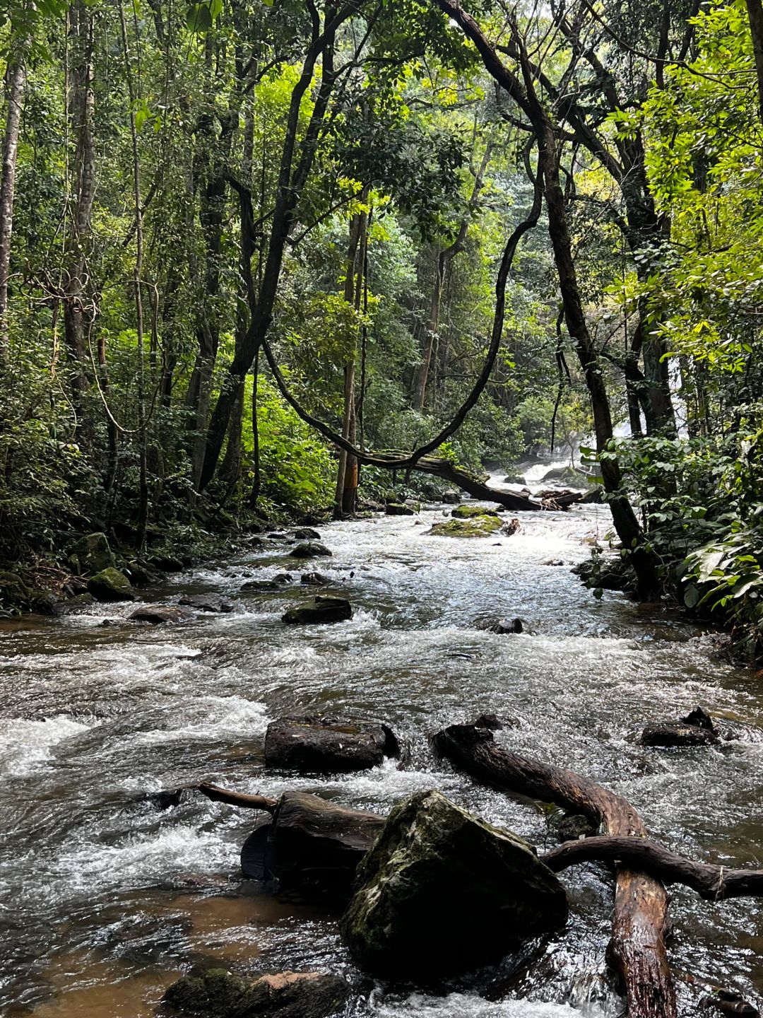 Chiang Mai-Chiang Mai Doi Inthanon National Park, passing streams, waterfalls and rice fields