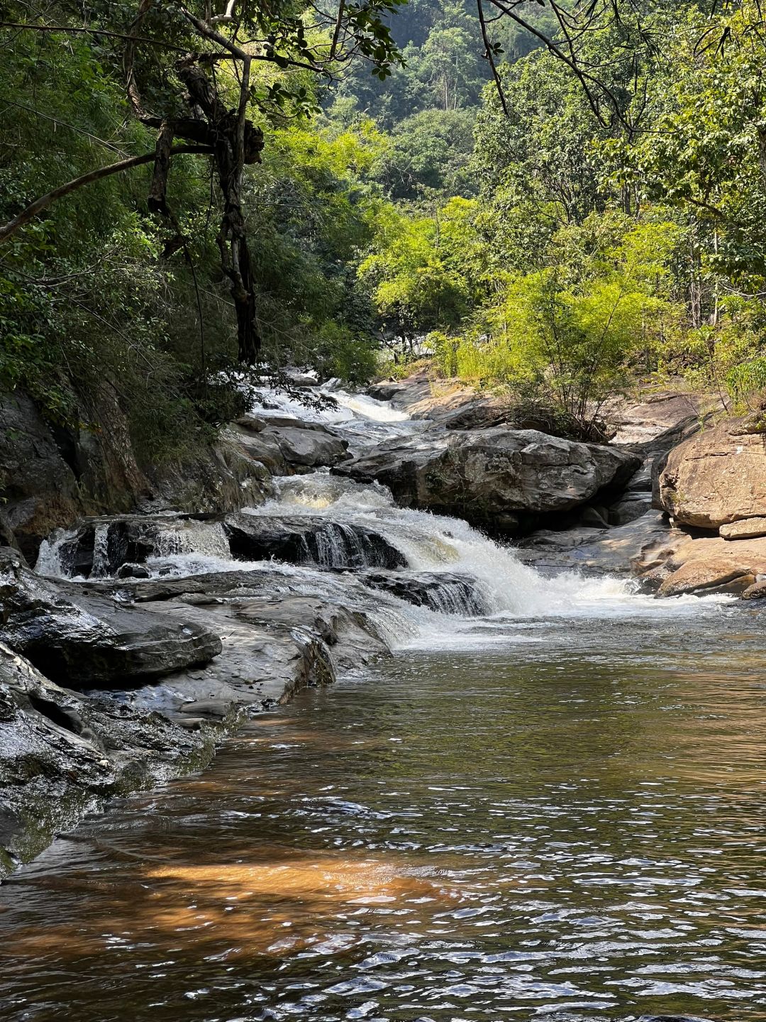 Chiang Mai-Chiang Mai Doi Inthanon National Park, passing streams, waterfalls and rice fields